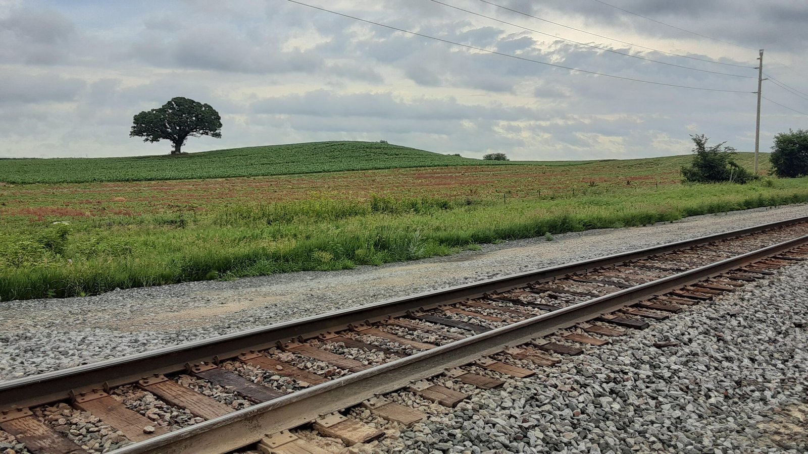 Fields in Wisconsin near Madison