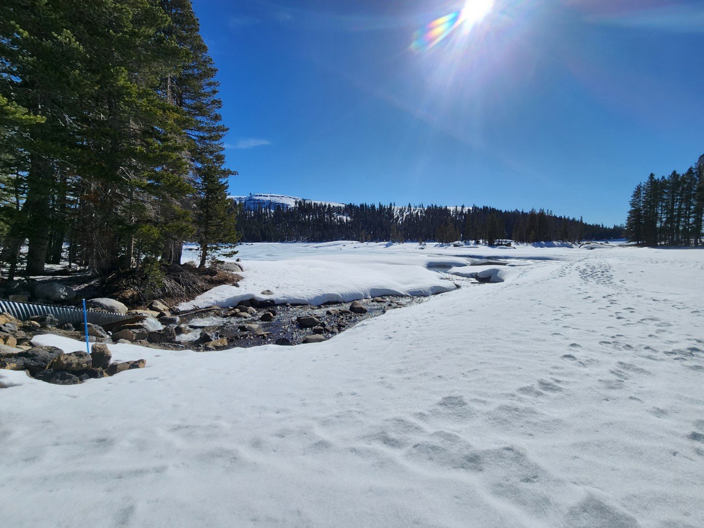 Lake Alpine, CA. February 7, 2026