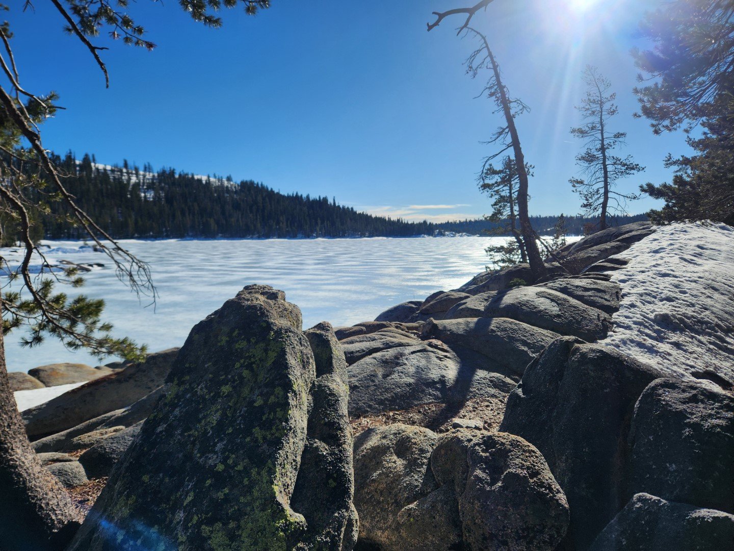 Lake Alpine, CA. February 7, 2026