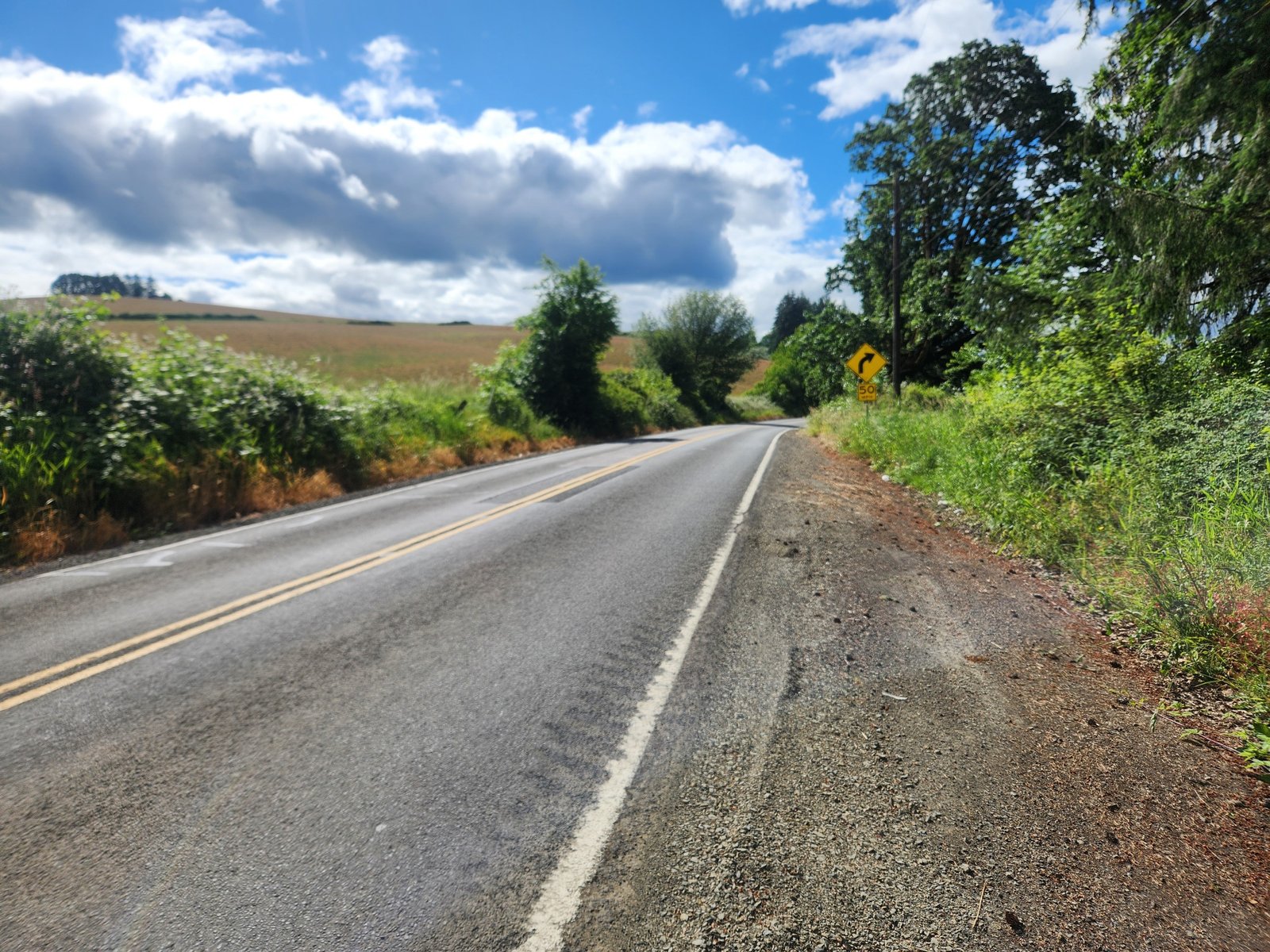 Along Nestucca Road