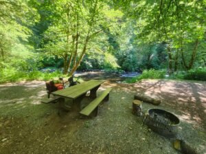 Alder Glen Campground. One of my favorites on the trip. Quiet. Magical.