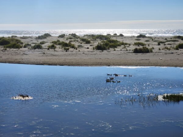 Oregon Coast