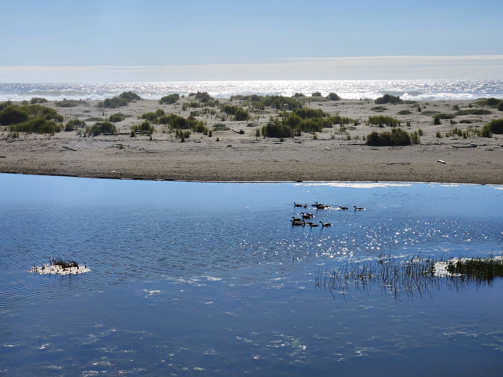 Oregon Coast