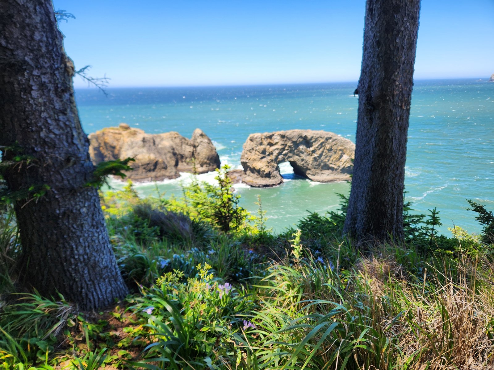 Oregon Coast