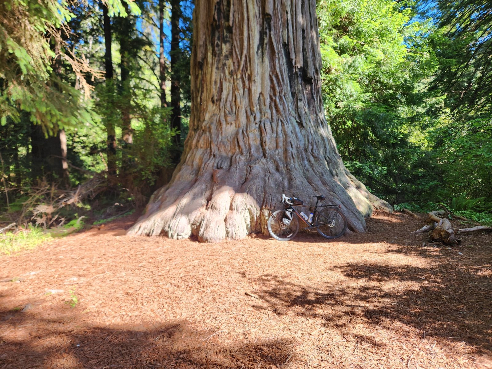 Elk Prairie Campground