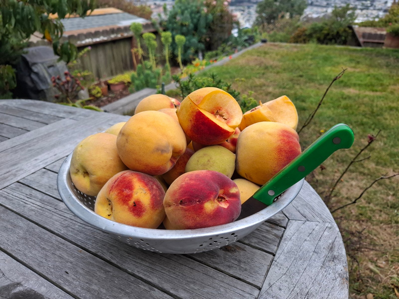 Peaches