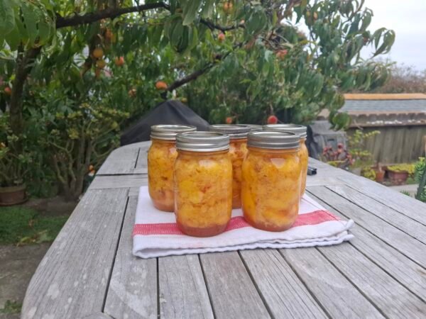 Peaches
