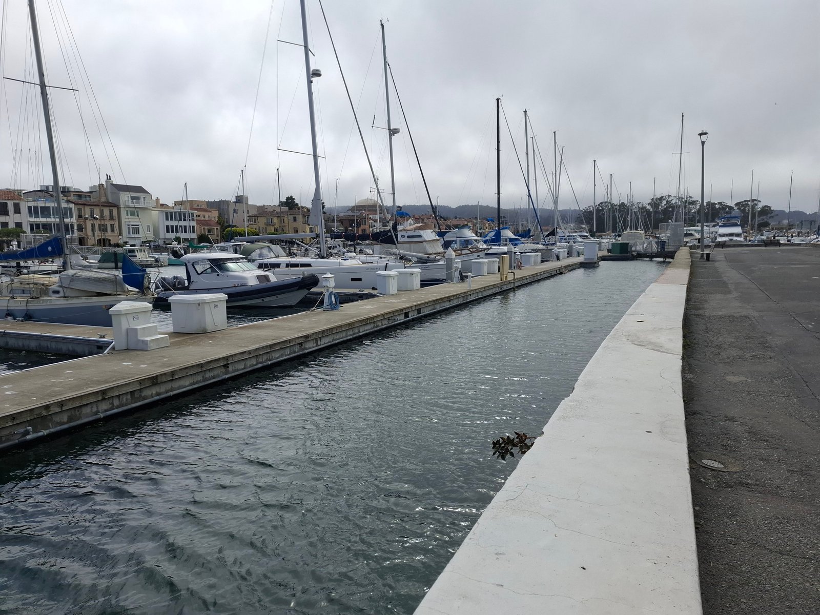 The marina