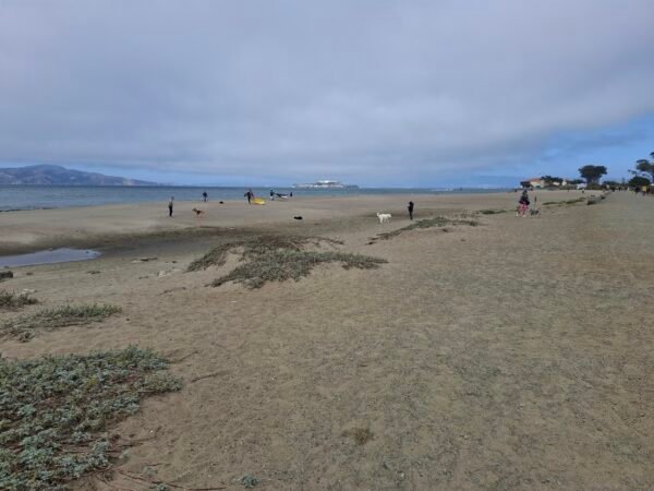 Crissy Field