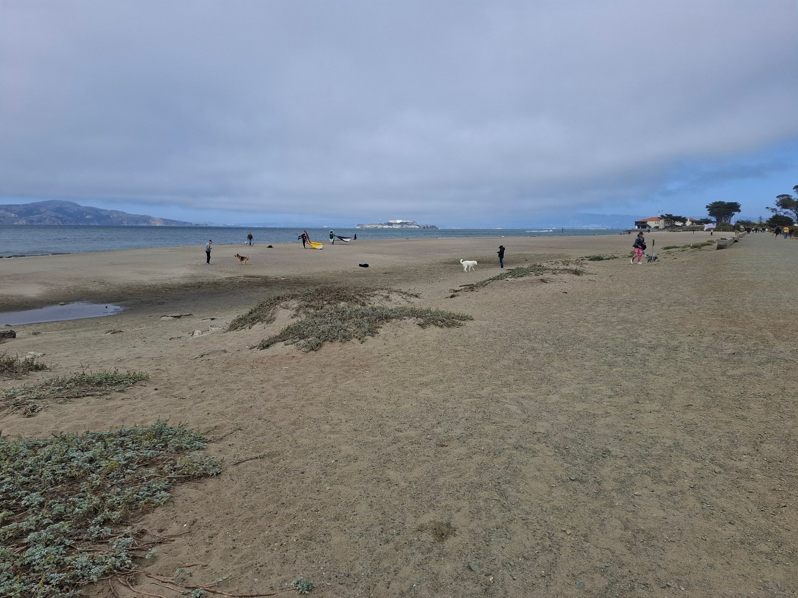 Crissy Field