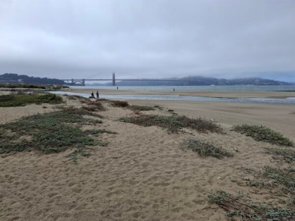 Crissy Field