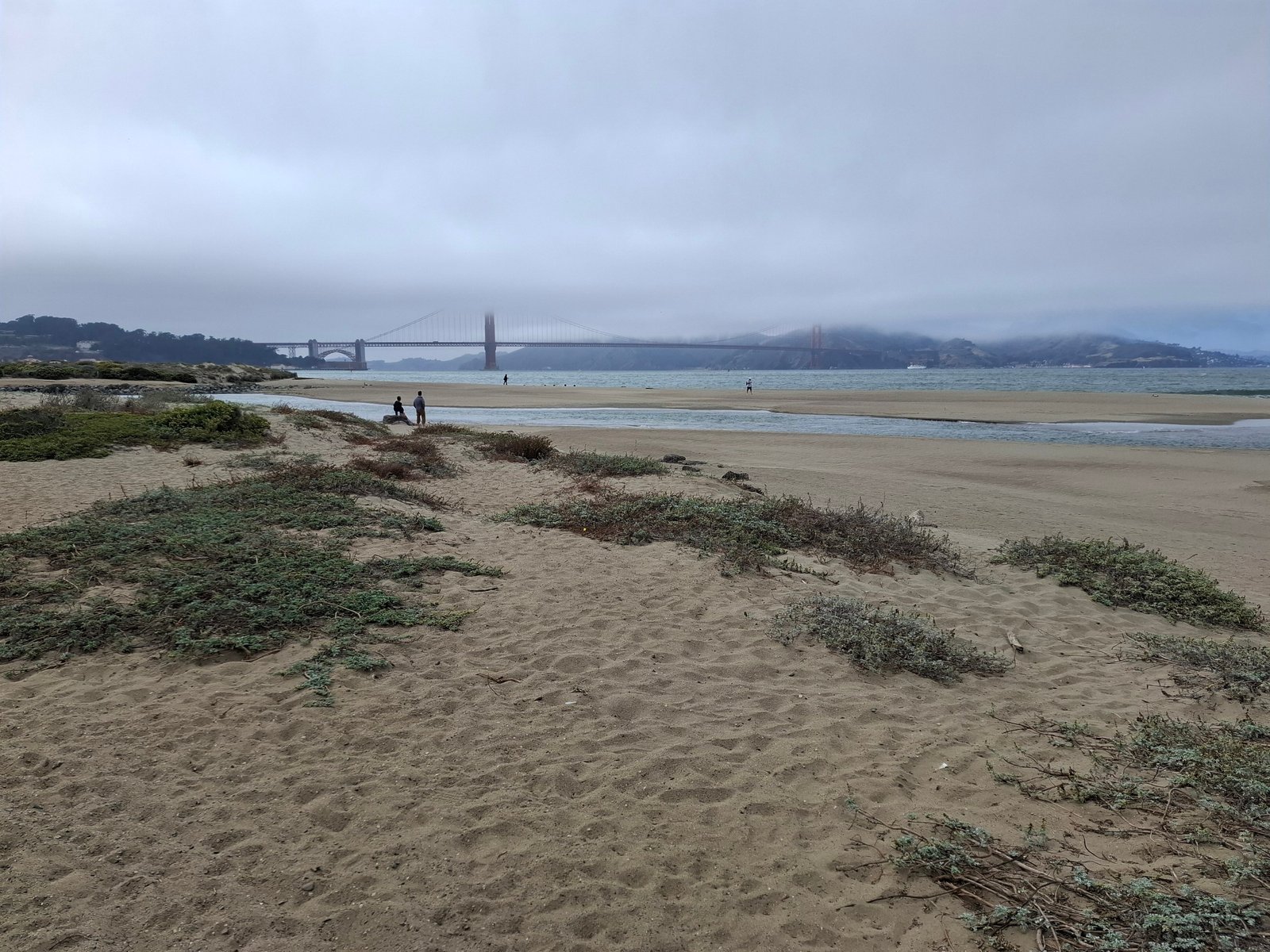 Crissy Field