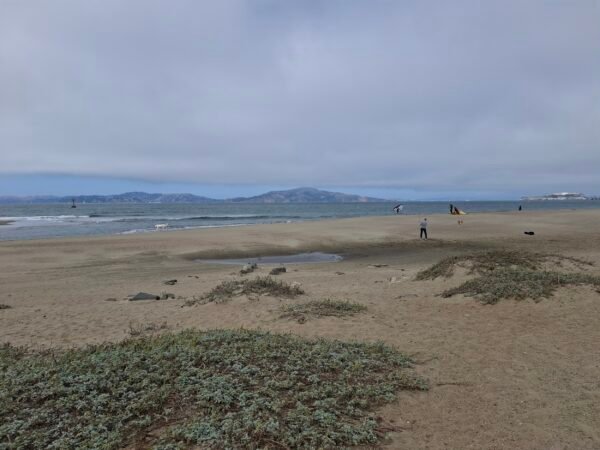 Crissy Field