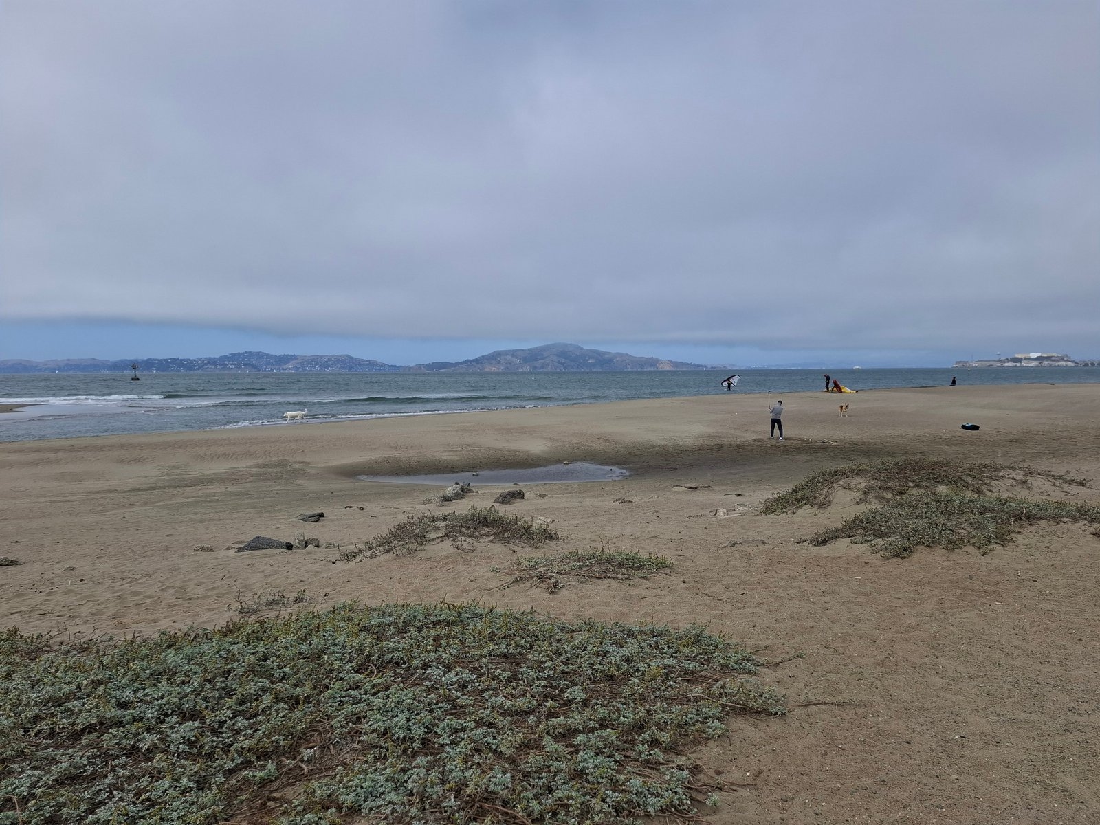 Crissy Field